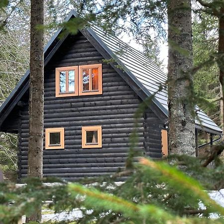Cosy Lodge Pokljuka Goreljek Exterior foto