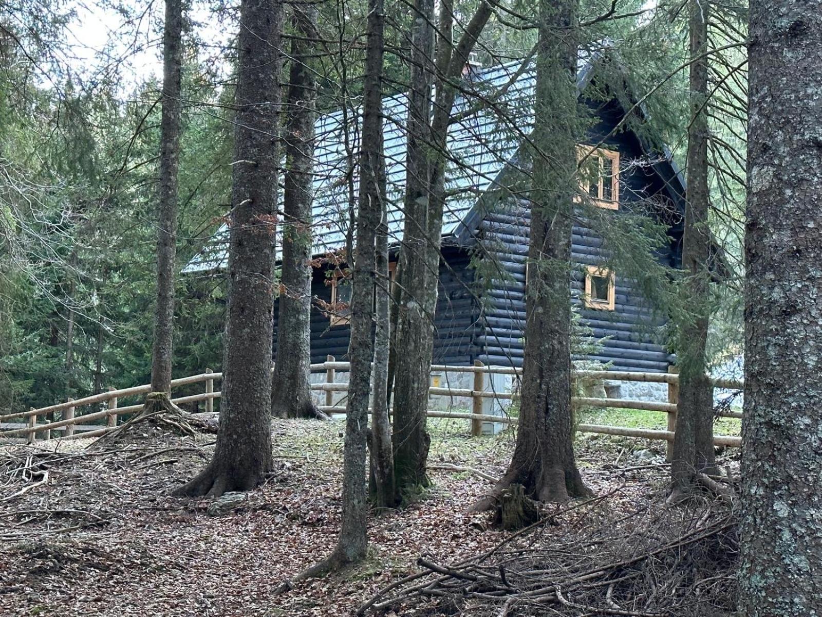 Cosy Lodge Pokljuka Goreljek Exterior foto